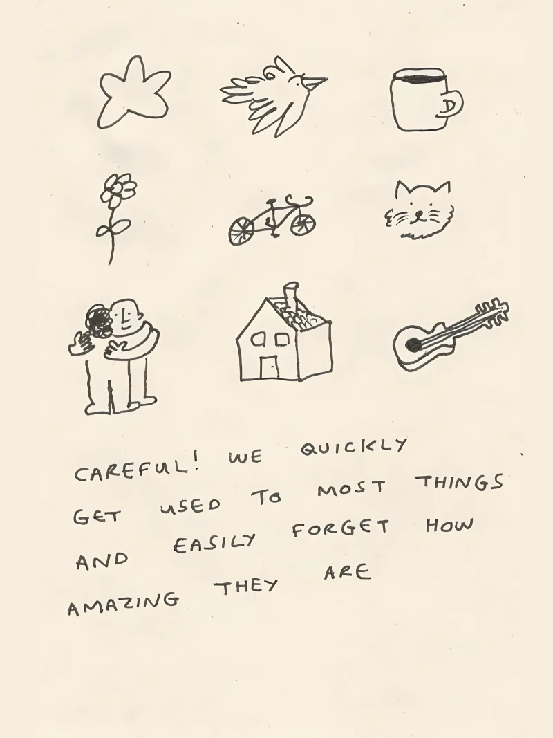 Amazing Lives